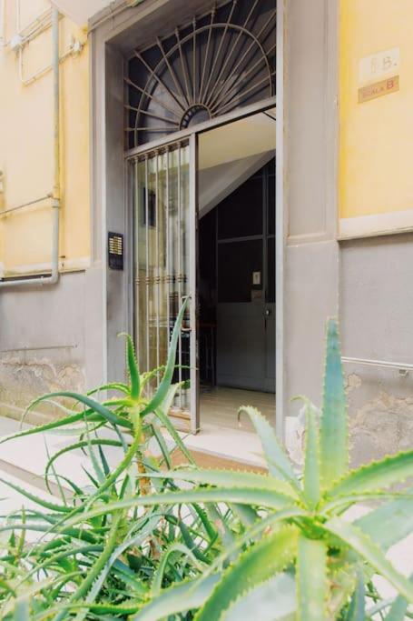 Mann House Napoli Daire Dış mekan fotoğraf